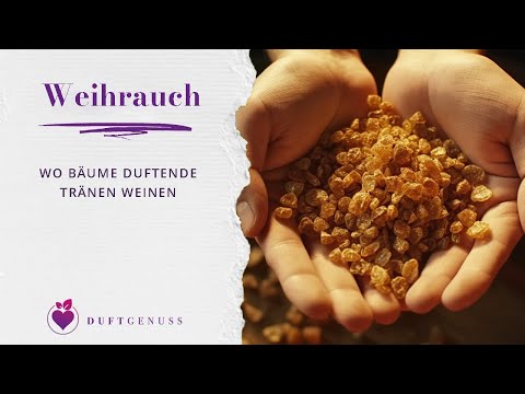 Weihrauch und seine Wirkung – Wo Bäume duftende Tränen weinen