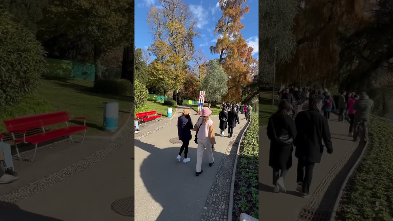 YouTube Short thumbnail