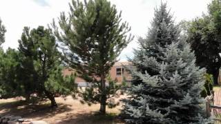 preview picture of video 'Payson Homes AZ $79,000'
