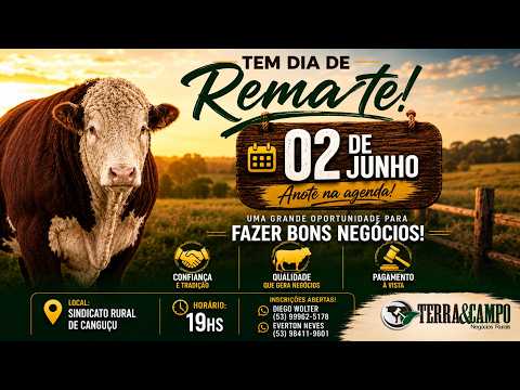 REMATE  DE GADO GERAL | CANGUÇU | TERRA&CAMPO NEGÓCIOS RURAIS.