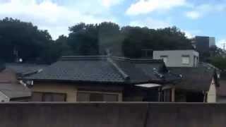 南加木屋から金山その1