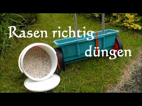 Anleitung Rasen richtig düngen - Wie Rasen düngen? So wirds gemacht Rasen düngen Blaukorn