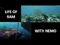 Life Of Ram With Nemo Life Of Ram With Nemo