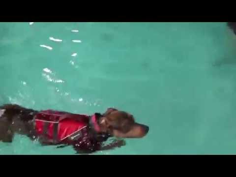 Notorious Swimming on 5-28-16 w/ Instructor Talina