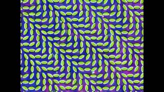 Animal Collective - Bluish