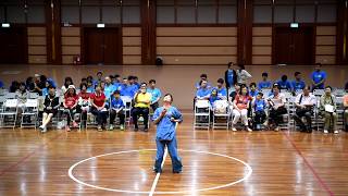 中國武學會 台北武風大會 演出-5