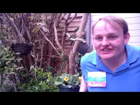 Finss Jury Review Manizha - Russian Woman For Russia At Eurovision 2021!