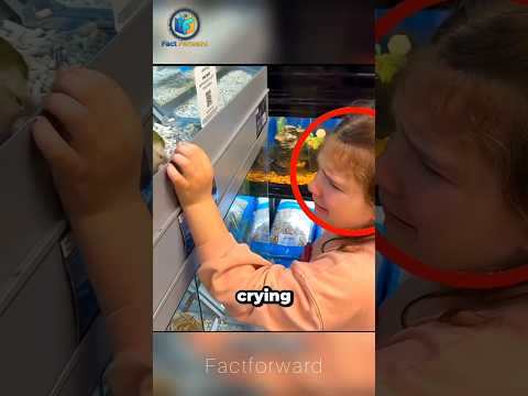 Little Girl Reunited With Her Missing Pet! 😭❤️🐦