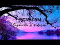 Serithaana - Supaveen & Vidusan | OFFICIAL LYRICS VIDEO