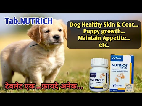 Nutrich Tablets for Dogs and Cats by Jolly and Cutie Pets