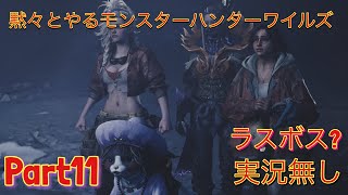 初見で黙々とやるモンスターハンターワイルズ　実況無し　part11