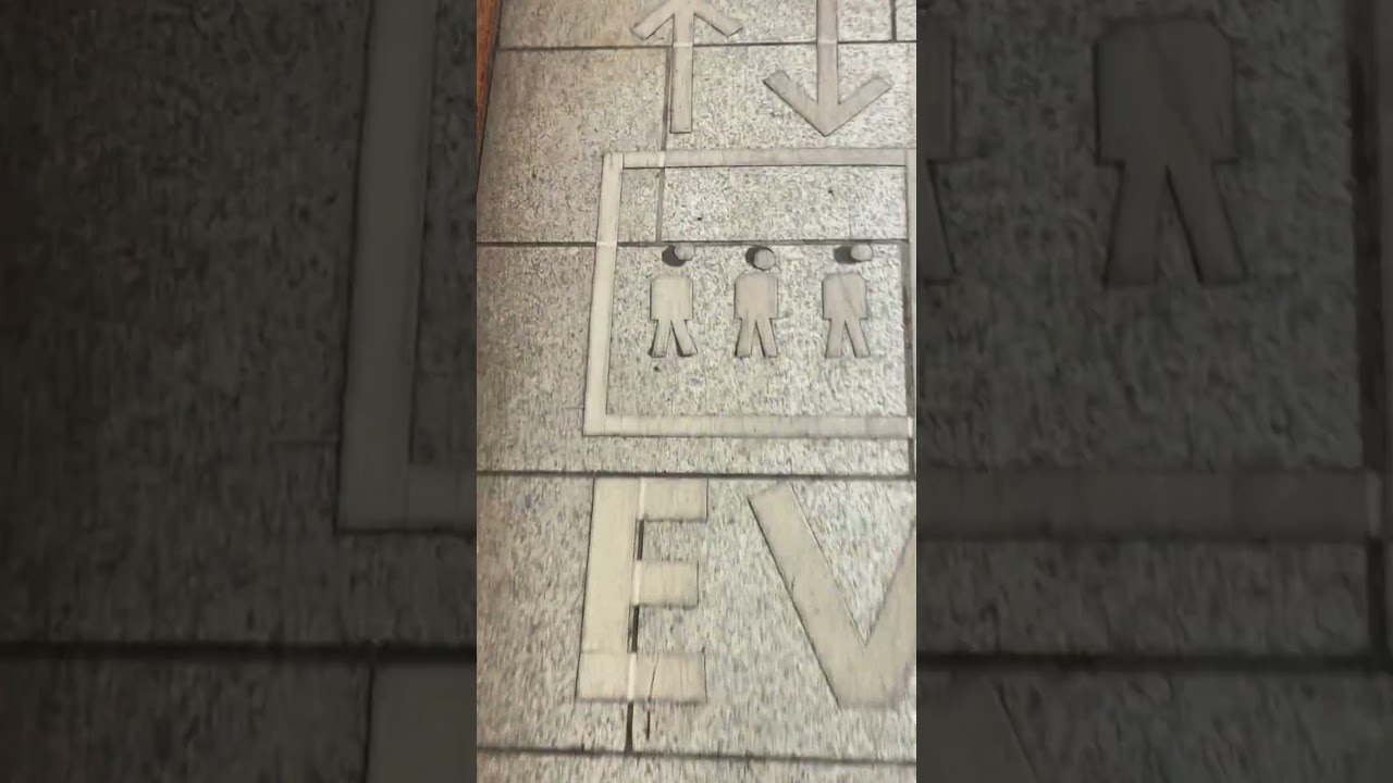 駅でコーンヘッドと遭遇#shorts #エジプト #コーンヘッド