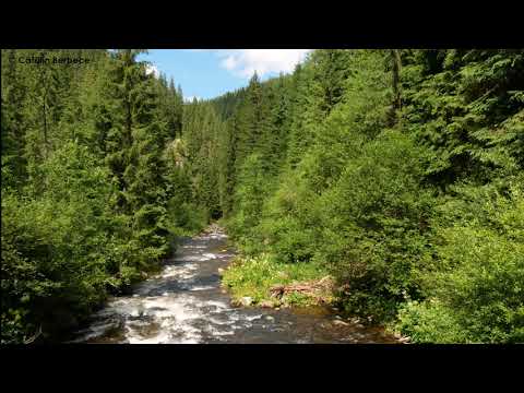 [4k] Transylvania - "Somesul Rece" River