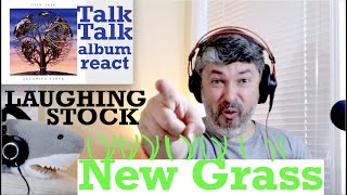 Talk Talk Album React | New Grass