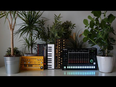 Snot Monkey - Acid 088 (Roland TR-8S, JU-06A, Behringer TD-3, WASP deluxe)