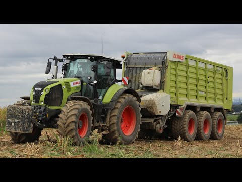 Mais Ernte 2019 |  Lohnunternehmen Kausemann  |  Witzhelden