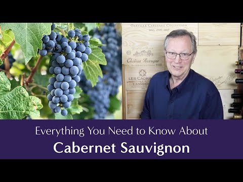 Cabernet Sauvignon: Everything You Need to Know - Including Suggested Food Pairings