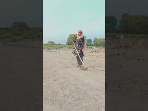 Naseeb Sade likhe Rab Ne #AkramRahi #NaseeboLal #song #punjabisong #sad #villagelife #