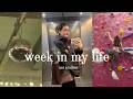 Week In My Life