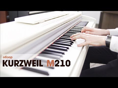 Обзор цифрового пианино Kurzweil M210