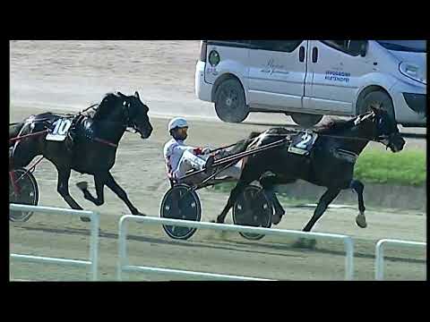 Napoli Trotto 22/05/2022 - 8ª corsa