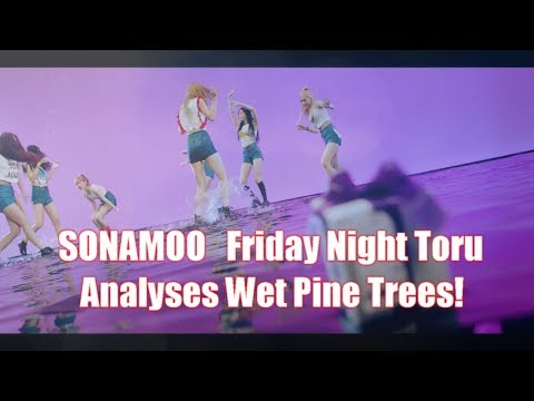 SONAMOO소나무   Friday Night금요일밤 Toru Analyses Wet Pine Trees!