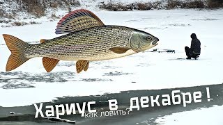 Рыбалка на хариуса в декабре