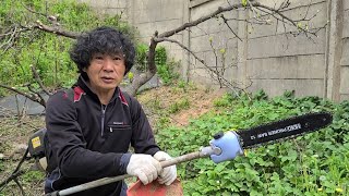 예초기 고지톱,체인톱날 샀어요~~나름 쓸만하네요 엔진톱 귀농귀촌 전원일기