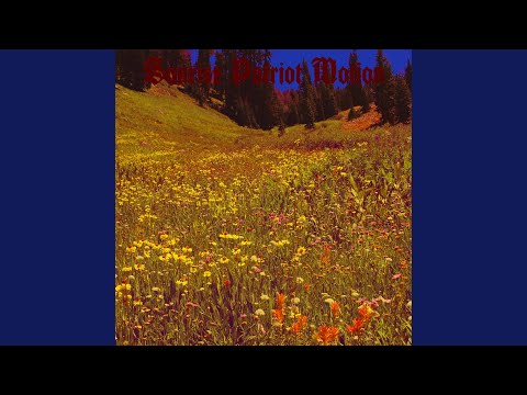 Sunrise Labyrinthian - Sunrise Patriot Motion
