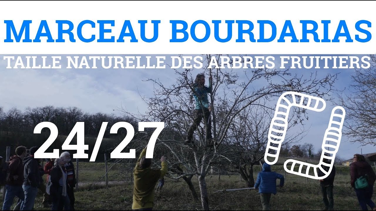 24/27 - M.BOURDARIAS - Taille Naturelle des Arbres Fruitiers - Taille d'un Pommier