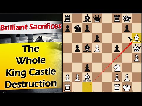 Whole King Castle Destruction | Warmerdam vs Pechac 2023