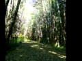 YouTube - Once Upon a Time - Yanni