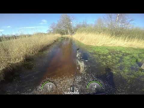 Water bikejoring training in Het Broek Blaasveld