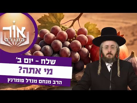 אור התורה - יום ב' פרשת שלח