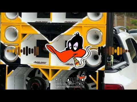 SOM DO POVO - AS MELHORES ABERTURAS AO VIVO - PASSAGEM DE SOM PRA PAREDÃO 2K24