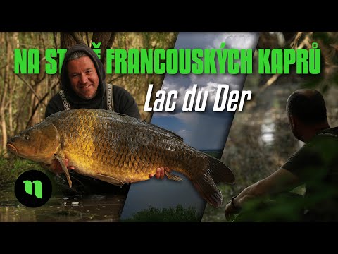 Trofejní kapři z Francie | Divoká příroda | Kapr 23+ 🔥 | Taktika lovu | Lac du Der | Karel Nikl 💚