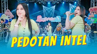 Download lagu Shinta Arsinta - PEDOTAN INTEL (ANEKA SAFARI) mp3 Download lagu Shinta Arsinta - PEDOTAN INTEL (ANEKA SAFARI) mp3