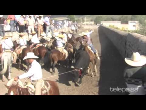 El Toro Mocho - Lupe González