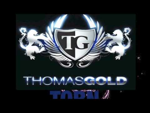 Otto Knows - Million Voices (Torn vs Thomas Gold - Scude2 mashup)