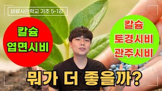 칼슘비료 엽면시비가 좋을까? 밑으로 주는게 좋을까? 칼슘비료 총 정리 해드립니다. 칼슘역할 알고 쓰세요!! …