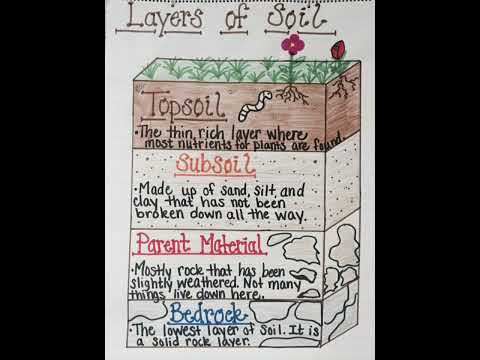 Layers Of Soil