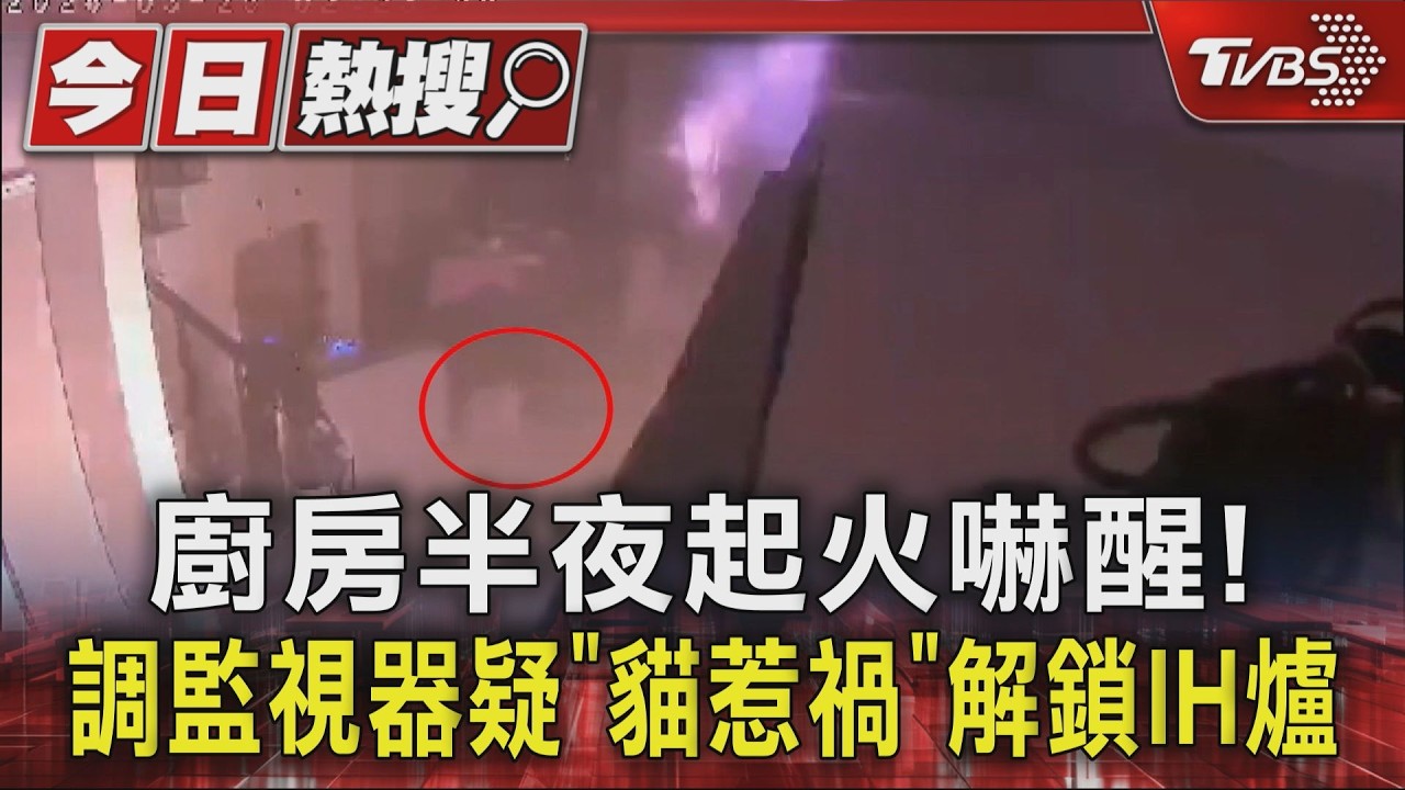 影音/ 獨/廚房半夜起火嚇醒!調監視器疑「貓惹禍」解鎖IH爐