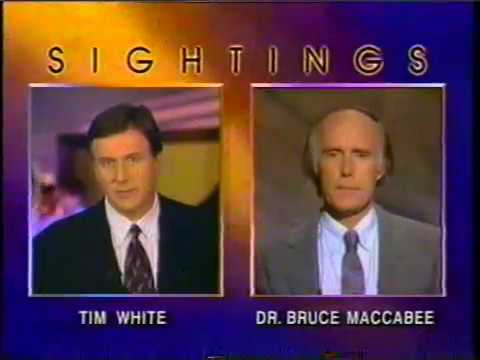 Sightings: Gulf Breeze UFO Flap (6/3/95)