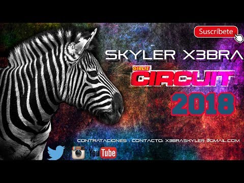 CIRCUIT SET X3BRA 2018