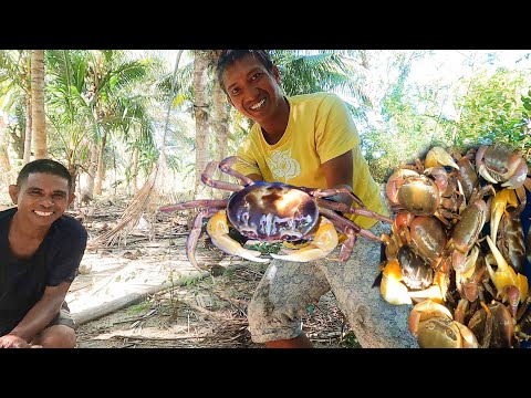 Amazing! Land Crab or "Kuray" Trap & Cook - Part 1