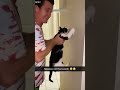 Funny Cat ️ Kitten Meowing Crying Ep 3360