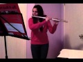 Firework Flute Cover