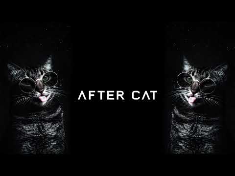Rave After Party Trippy Cat Music 2022 Summer