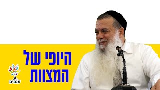 הרב יגאל כהן | היופי של המצוות |🔴שידור חי (ארגון ענפים) - התמונה מוצגת ישירות מתוך אתר האינטרנט יוטיוב. זכויות היוצרים בתמונה שייכות ליוצרה. קישור קרדיט למקור התוכן נמצא בתוך דף הסרטון