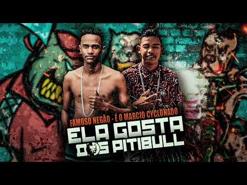 🔵FAMOSO NEGÃO-É O MARCIO CYCLONADO: ELA GOSTA DOS PITBULL